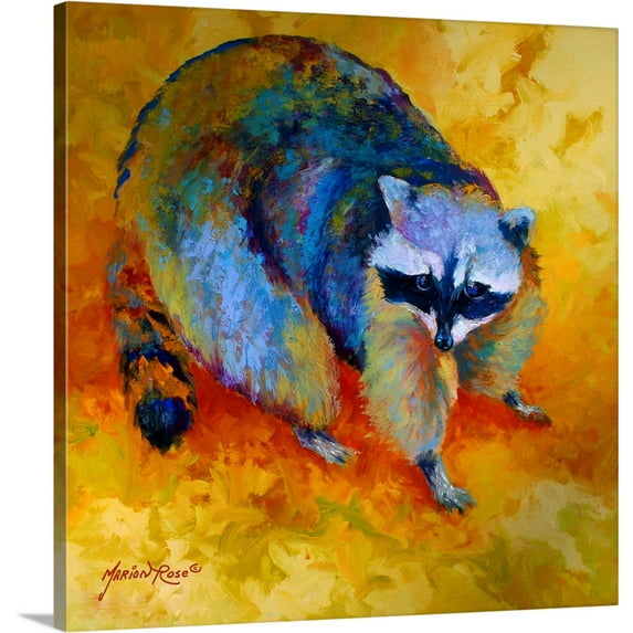 Great BIG Canvas | "Coon" Canvas Wall Art - 20x20