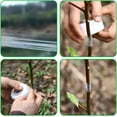 thumbnail image 4 of Ruban de Greffage Parafilm pour Arbres Fruitiers Outils de Greffage Parafilm Plante, 4 of 5