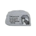 thumbnail image 3 of DOLITY Urne Décorative pour Animaux de Compagnie Décoration Commémorative pour Jardin Intérieur pour Chats, 3 of 9
