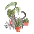 thumbnail image 2 of Vess, June Erica 26x32 White Modern Wood Framed Museum Art Print Titled - Purrfect Plants I, 2 of 4
