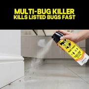 Raid Multi Insect Killer, Indoor & Outdoor Bug Spray Won't Harm Houseplants, 15 oz