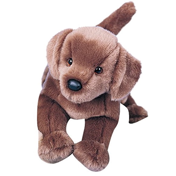 Douglas Cocoa Chocolate Lab