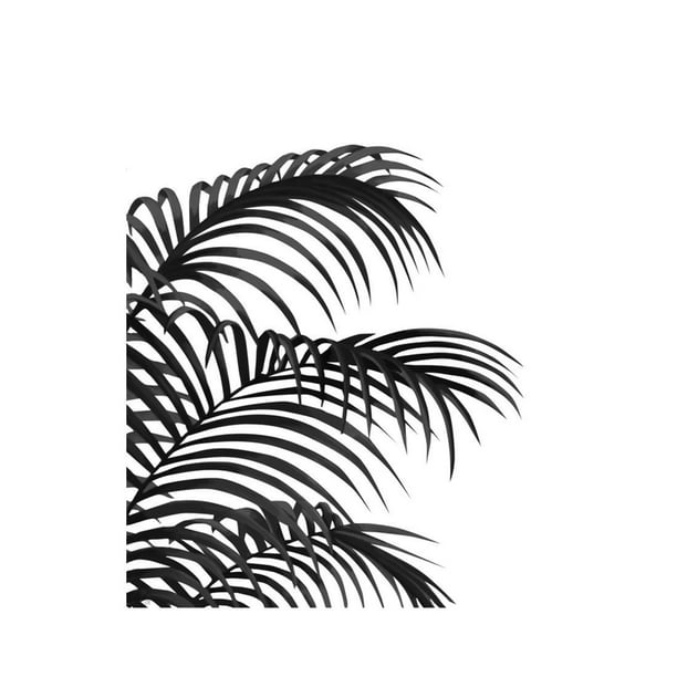 Palm Leaf 1, Black On White Print Wall Art By Fab Funky - Walmart.com