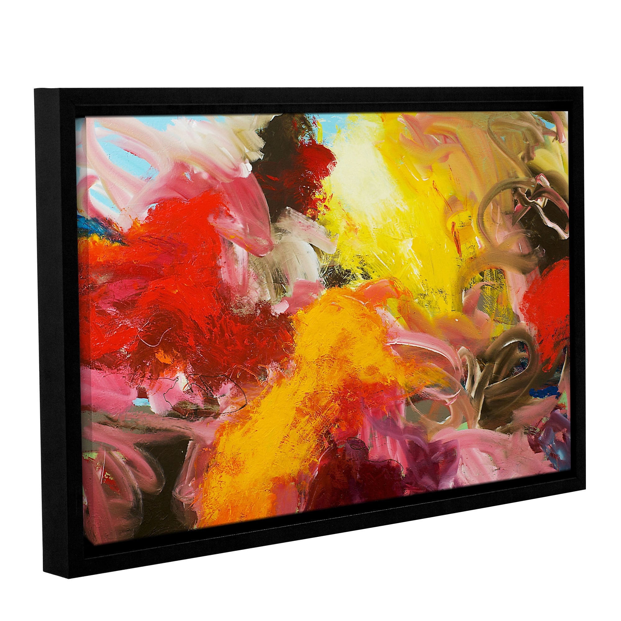 ArtWall Allan Friedlander "Morning Burst" Gallery-wrapped Floater-framed Canvas