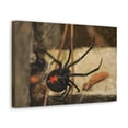 thumbnail image 2 of Majestic Black Widow Art Majestic Black Widow Hound Print Animal Wall Art Wildlife Canvas Prints Wall Art Ready to Hang Unframed, 2 of 18