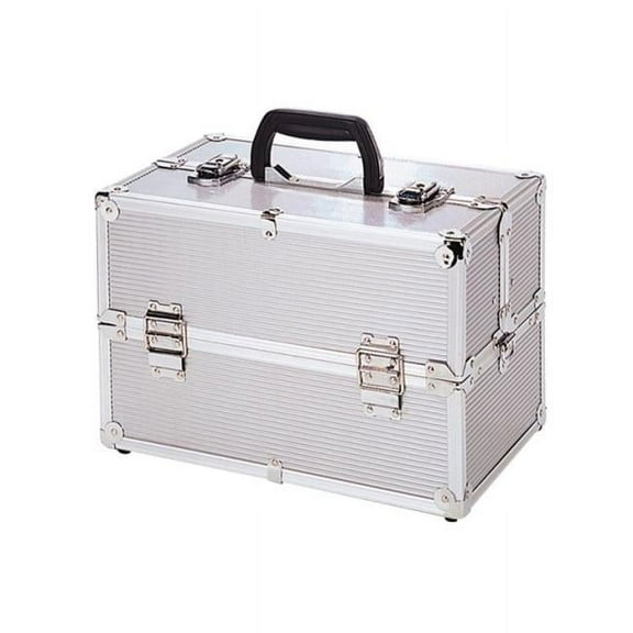 TZ Case TC-06 SS Basic Beauty Case, Silver Stripe