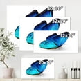 thumbnail image 4 of Designart Vibrant Blue Butterfly Canvas Wall Art, 4 of 4