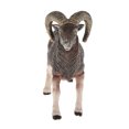 thumbnail image 1 of Modelo de figura de animales de granja Sunnimix Mini Farm Goat Animal Toys, 1 of 7