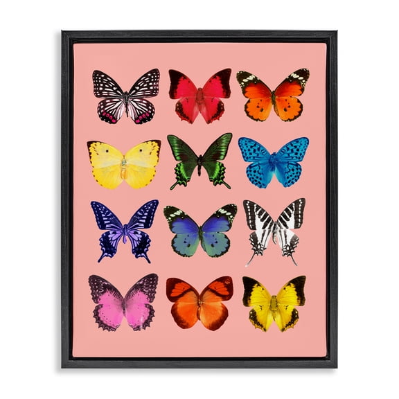 Butterfly Species on Pink Black Framed Floater Canvas Wall Art, design by LISH Creative