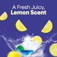 thumbnail image 5 of Great Value Premium Dishwasher Pacs, Fresh Scent, 87 Count, 5 of 13