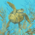 thumbnail image 3 of Brent, Paul 15x15 Black Modern Framed Museum Art Print Titled - Cedar Key Turtle I, 3 of 5