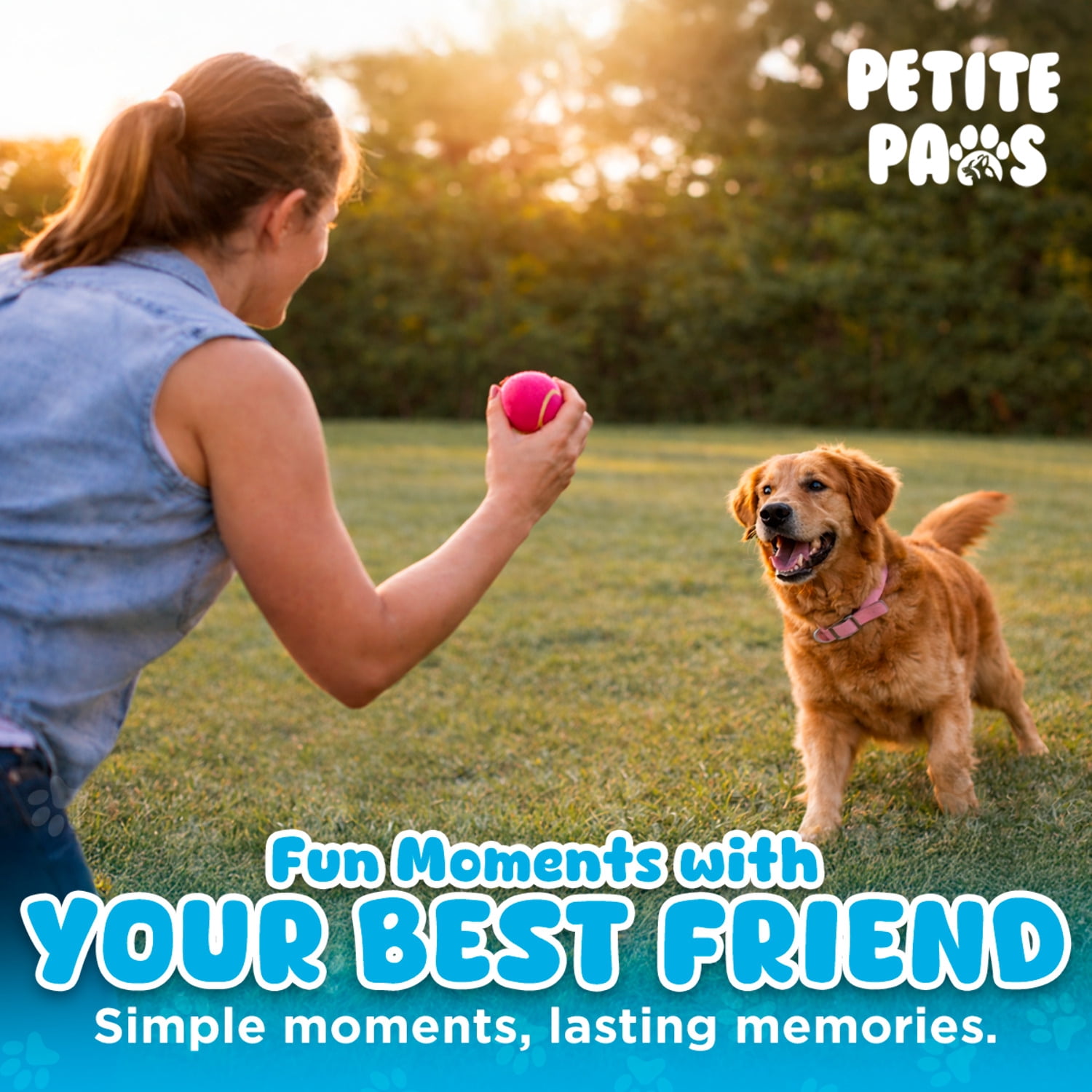 Petite Paws Colorful Squeaky Tennis Balls for Large Dogs and Puppies — 2.5-Inch, 12-Pack — High-Bounce Fetch Toy
