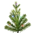 thumbnail image 2 of Vickerman 6.5' x 35" Moutauk Pine Artificial Christmas Pencil Tree, Multi-colored Dura-Lit LED lights, 2 of 2