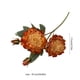 thumbnail image 3 of Decoración del hogar, decoración de habitaciones, decoración de paredes, tela revestida, 4 cabezas de peonía quemada, flores artificiales, tela, plantas artificiales, 3 of 6