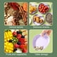 thumbnail image 4 of Juego de Cubiertos de 5 Piezas con Bandeja de 15 Cm y Tazón para Refrigerios | Platos Organizadores de Plástico para Restaurantes y Comedores | Opciones En Verde, Beige, Azul y Rosa, 4 of 6