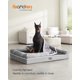 thumbnail image 2 of Feandrea Cama para Perros, Cama Ortopédica para Perros, Cama para Perros Grande, Impermeable, Funda Extraíble y Lavable, Sofá para Perros con Fondo Antideslizante, Bordes Elevados, 48 ​​x 33 x 8 Pulga, 2 of 5