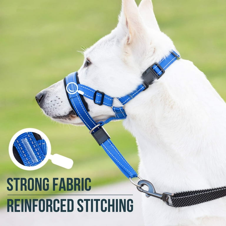 Good boy dog head cheap halter