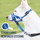 thumbnail image 4 of GoodBoy Dog Head Halter con correa de seguridad - Topes, 4 of 5