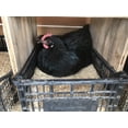 thumbnail image 4 of Sustainable Gardening Made Easy: Gardenera Labs Rice Hulls - Harness The Power of Natural Mulch and Plant Protection - 10 QUARTS, 4 of 4