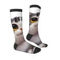 thumbnail image 4 of Lsque Cute Cartoon Kitten Printed Crew Socks Men's Women's LightWeight Thin Casual Calf Socks ,Knee High Socks,Cotton Socks, 4 of 9