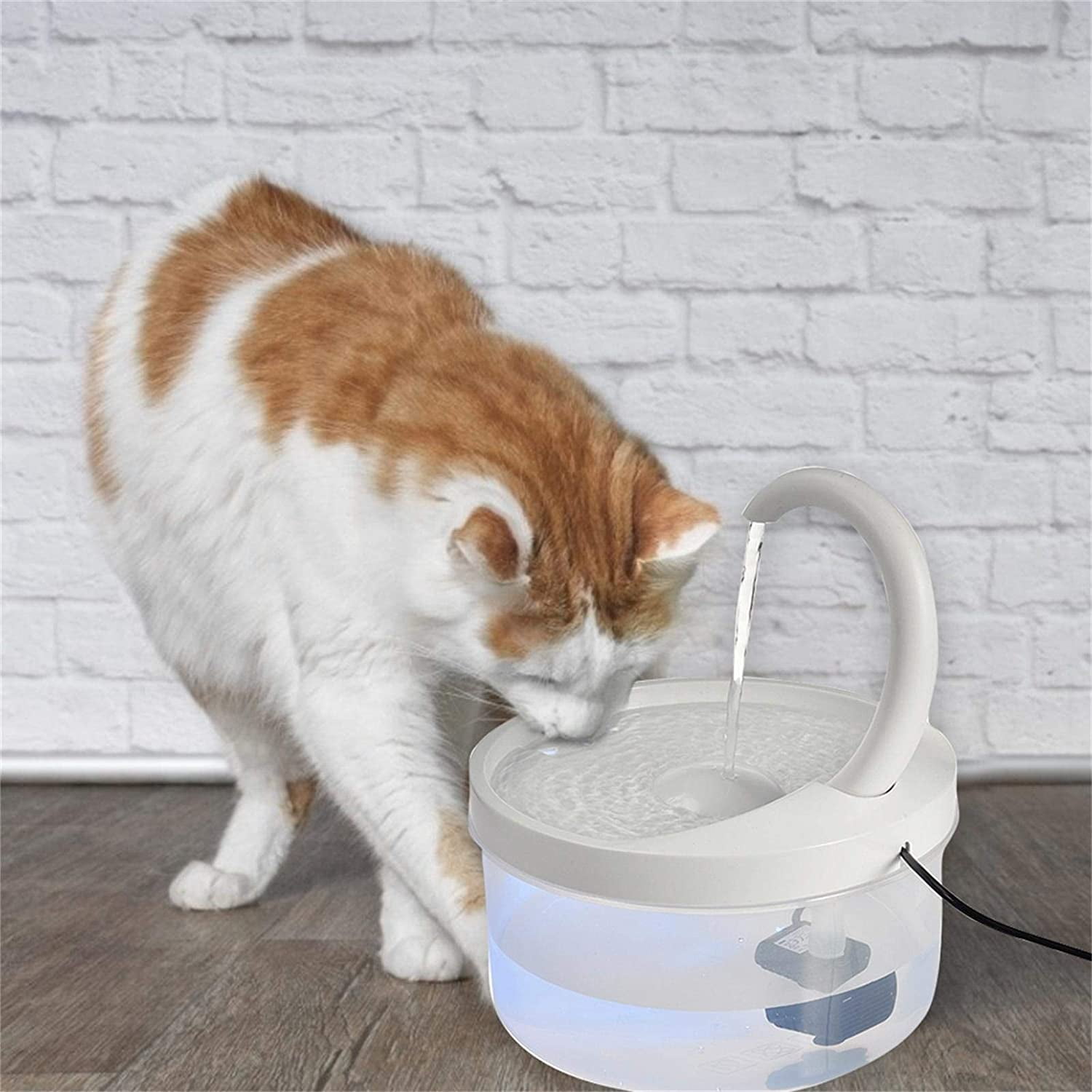 Buy Pet Fountain, 67oz/2L LED Automatic Cat Water Fountain Dog Water