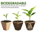 thumbnail image 4 of 120 Packs Peat Pots Seed Starter Pots Biodegradable Eco-Friendly Organic Plant Seed Starting Pots Garden Germination Nursery Pot for Seedlings with Plant Labels 3 Inch Square, 4 of 5