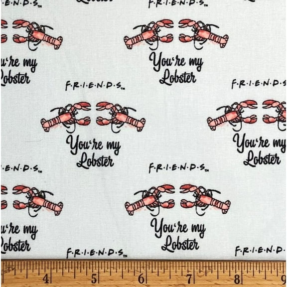 1/2 Yard - Friends You're My Lobster on Light Blue Cotton Fabric (Great for Quilting, Sewing, Craft Projects, Throw Pillows & More) 1/2 Yard X 44" Wide