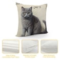 thumbnail image 4 of British Shorthair Cat Kitty Themed Decorations for Home, Funny Quote I Just Freaking Love British Shorthair Cats Okay Throw Pillow Cover ”, British Shorthair Cat Lover Gifts, 4 of 5