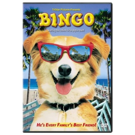 Bingo [DVD]