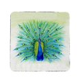 thumbnail image 1 of Betsy Drake CT758 Peacock Coaster - Set of 4, 1 of 1