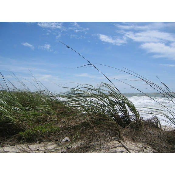 Kraft "Storm Coming" Wall Decal