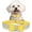 Yellow, variant on Rhinestone Dog Collar with Bow Tie Dog Bling Collar for XXSmall X-Small Small Medium Large Dogs