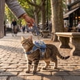 thumbnail image 4 of 2 Pack, Cat Harness and Leash Set Escape Proof, Small Cat Harness Vest with Mini Storage Backpack, Adjustable Walking Accessory for Kitten Puppy Small Pets, Pink Star Design, 1, 4 of 6