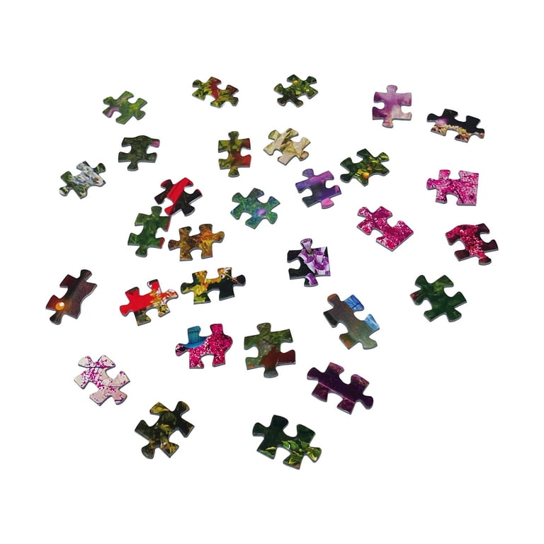 Educa Japanese Garden: 3000 Pcs - Walmart.com