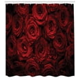 thumbnail image 3 of Ambesonne Romance Shower Curtain, Drops of Blooming Bouquet, 69"Wx84"L, Black Red, 3 of 3
