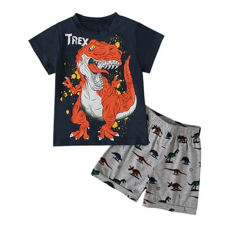 

IROINNID Boy s Summer Dinosaur Short Sleeve Top With Shorts Two-piece Outfits