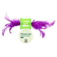 thumbnail image 6 of Vibrant Life Green and Purple Feather Rattle Cat Toy, 6 of 8