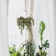 thumbnail image 4 of Ounissouiy Mano de obra meticulosa, plantas verdes simuladas de alta simulación, decoración para colgar en la pared, amantes, lágrimas, plantas Decoración, 4 of 6