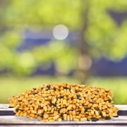 BestNest Deer Feed Mix, 50 lbs - Premium Blend of Seed, Grain, Salt & Cane Molasses with Added Minerals and Protein, Nutritious Wildlife Feed for Healthy Deer, Bucks, Does & Fawns