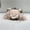 Pink Snake and peal chain, variant on Wedding Purse Feather Crossbody Bag 3 Color Feather Luxury Women Bags Party