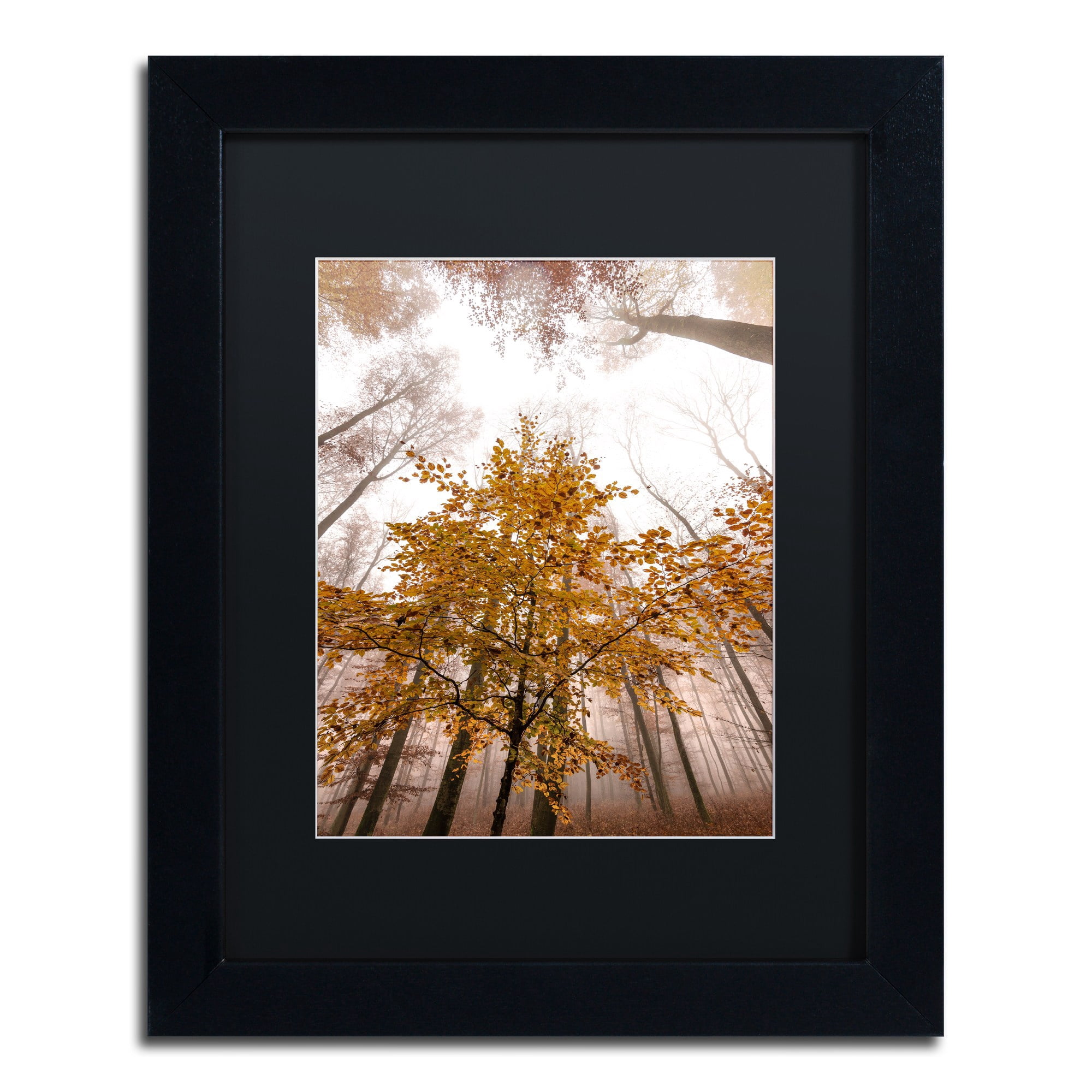 Trademark Fine Art "Foggy Days" Canvas Art by Philippe Sainte-Laudy Black Matte, Black Frame