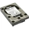 Lenovo 67Y1401 500 GB Hard Drive, 3.5" Internal, SATA (SATA/300)