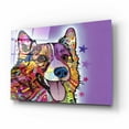 thumbnail image 2 of Epic Art 'Corgi' by Dean Russo, Acrylic Glass Wall Art, 16"x12", 2 of 8