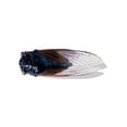 thumbnail image 1 of ZOUBAOQ Autocollants de Voiture Insecte 3D Dragon Fly Décalcomanies Enfant Libellule Nouveau A4, 1 of 8