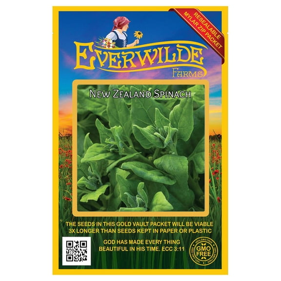 Everwilde Farms - 100 New Zealand Spinach Seeds - Gold Vault Jumbo Bulk Seed Packet