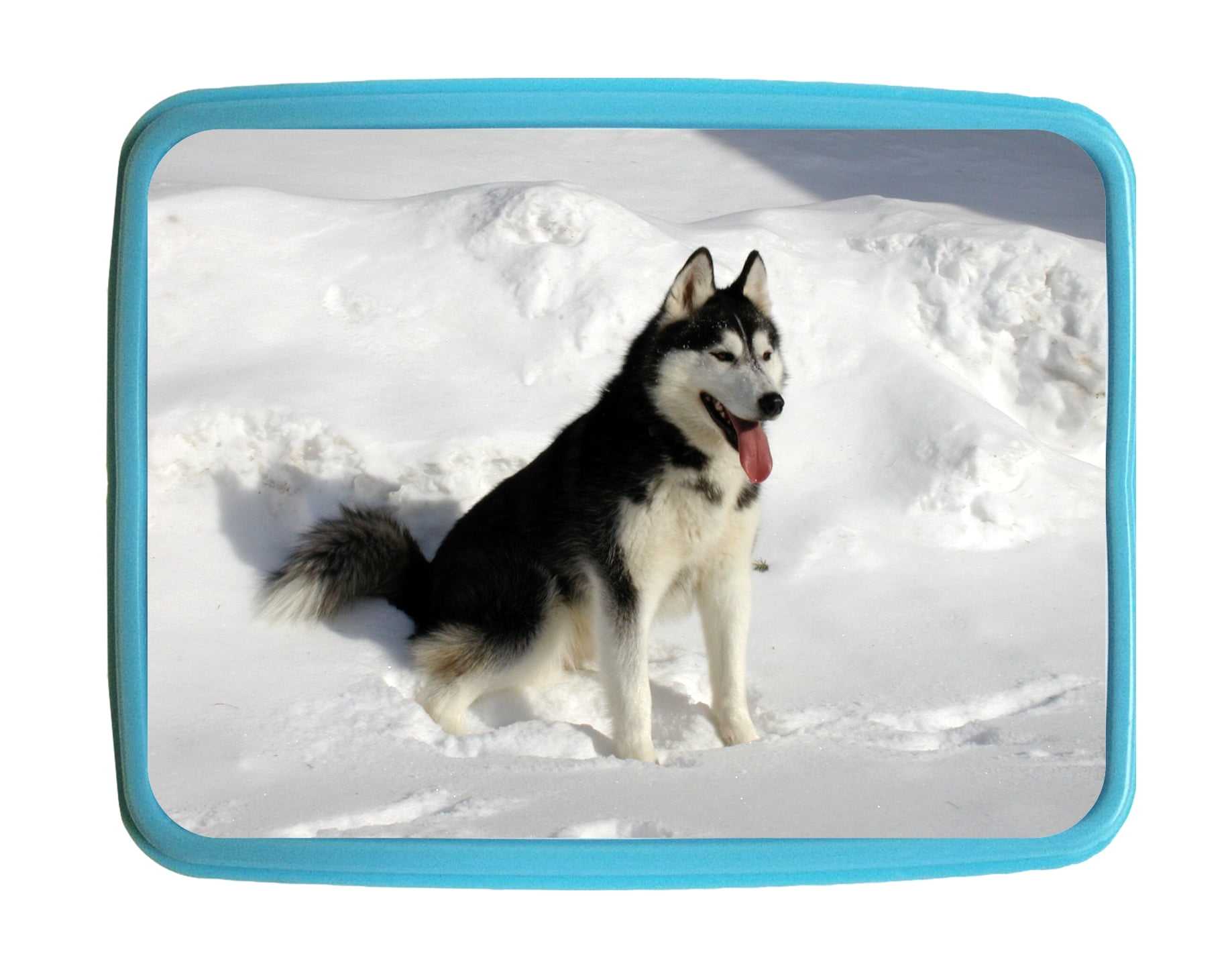 Lunchbox Pets Siberian Husky Kids Bento Lunch Box with 3 Compartment