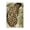 Tropical Leopard Butterfly Wing, variant on Stupell Industries Contemporary Lemur in Tropical Tree Black Floating Frame Canvas Art, 17 x 21, by Fab Funky