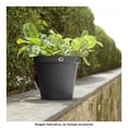 thumbnail image 4 of Macetas Rattan 30cm PLASTICOS LA ARDILLA con Plato Anti Escurrimiento, 4 of 4