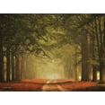 thumbnail image 2 of Podt, Martin 24x19 Black Ornate Wood Framed with Double Matting Museum Art Print Titled - Misty Walk, 2 of 4