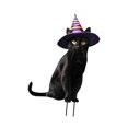 thumbnail image 2 of Estatua de gato para jardín, estaca de animal, decoración de Halloween, inserto de metal realista para el suelo de un gatito para el patio trasero de 183 x 28 cm, 2 of 8